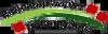 ava
